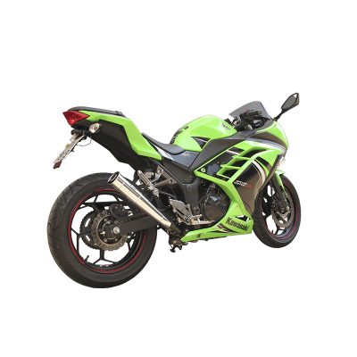 Ninja 300.