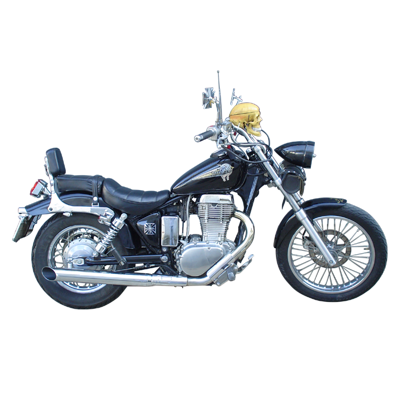 Savage 650 Savage 650