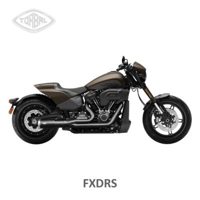 Veja todos os produtos em SOFTAIL - FXDR